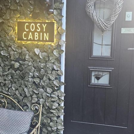 Belfast Cosy Cabin Extérieur photo